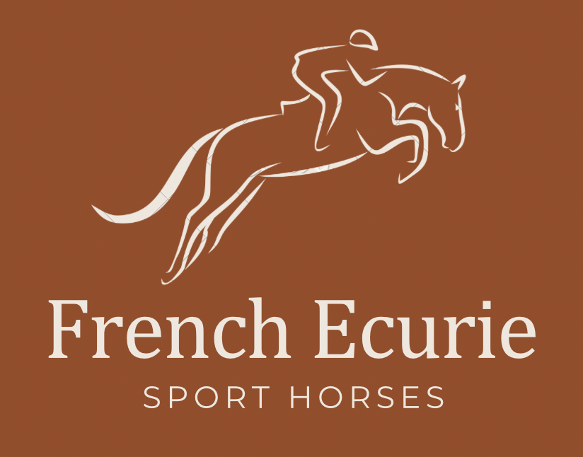 horse jumping the logo