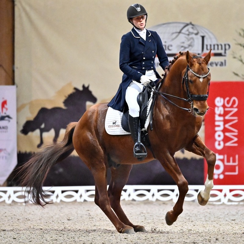 Audrey blau dressage