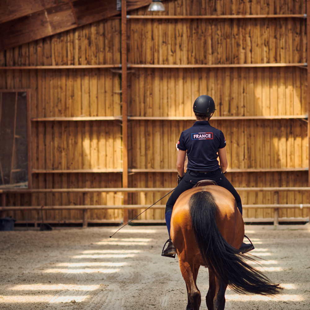 france team horse riding