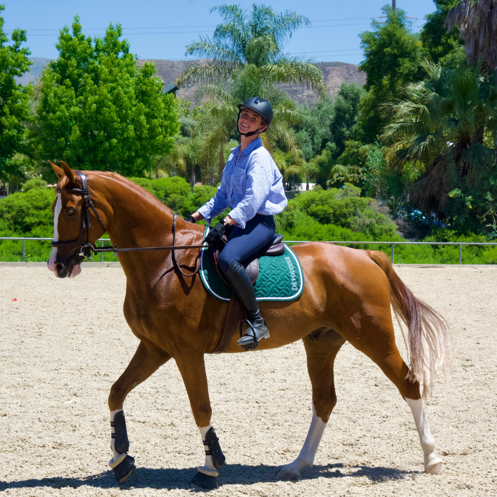 horse trainer in LA