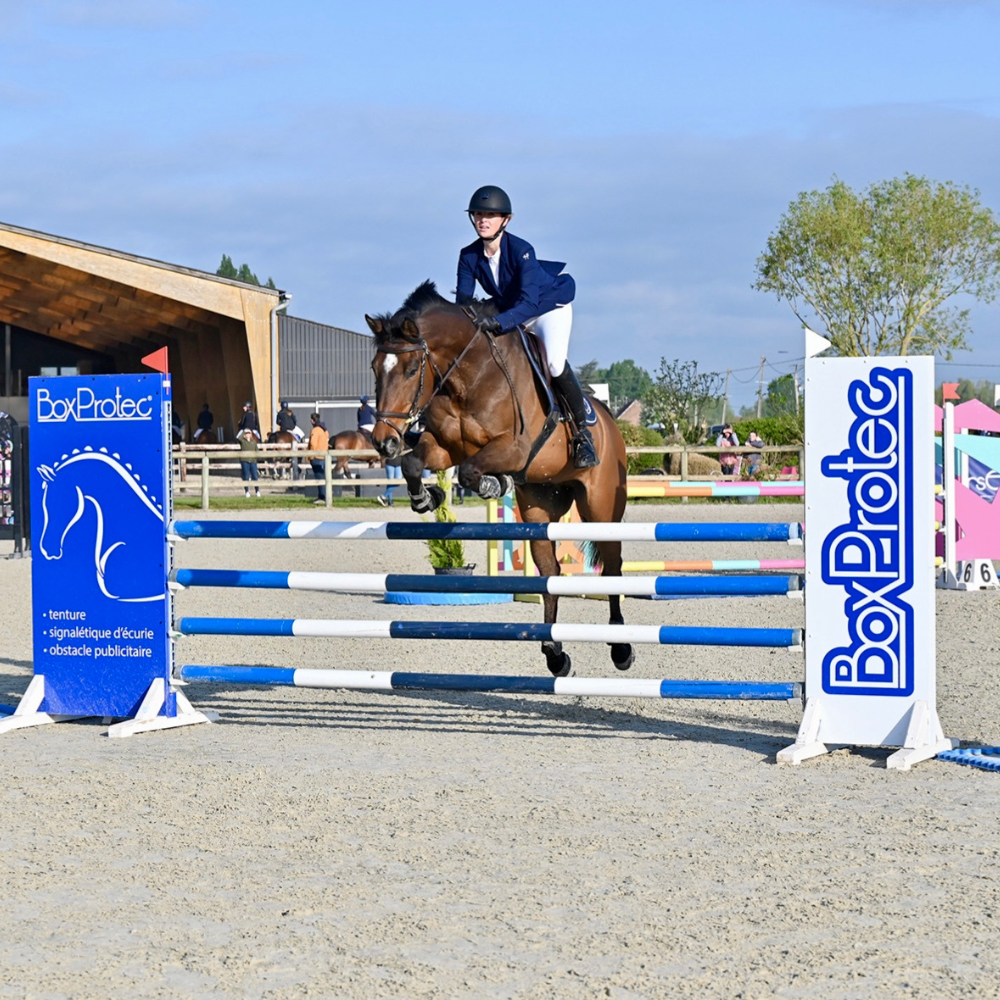 horse jumping