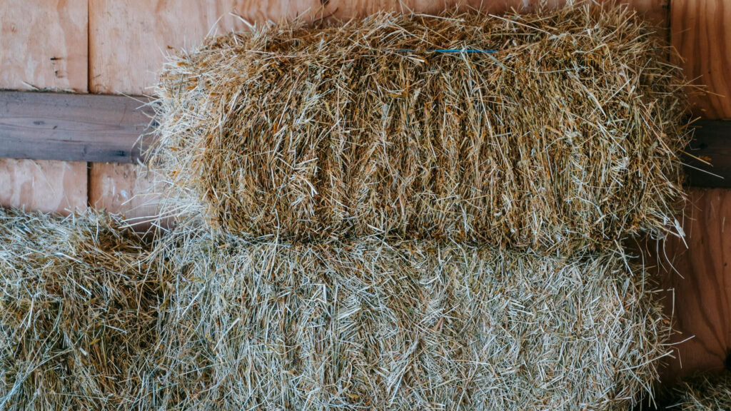 hay in Los Angeles