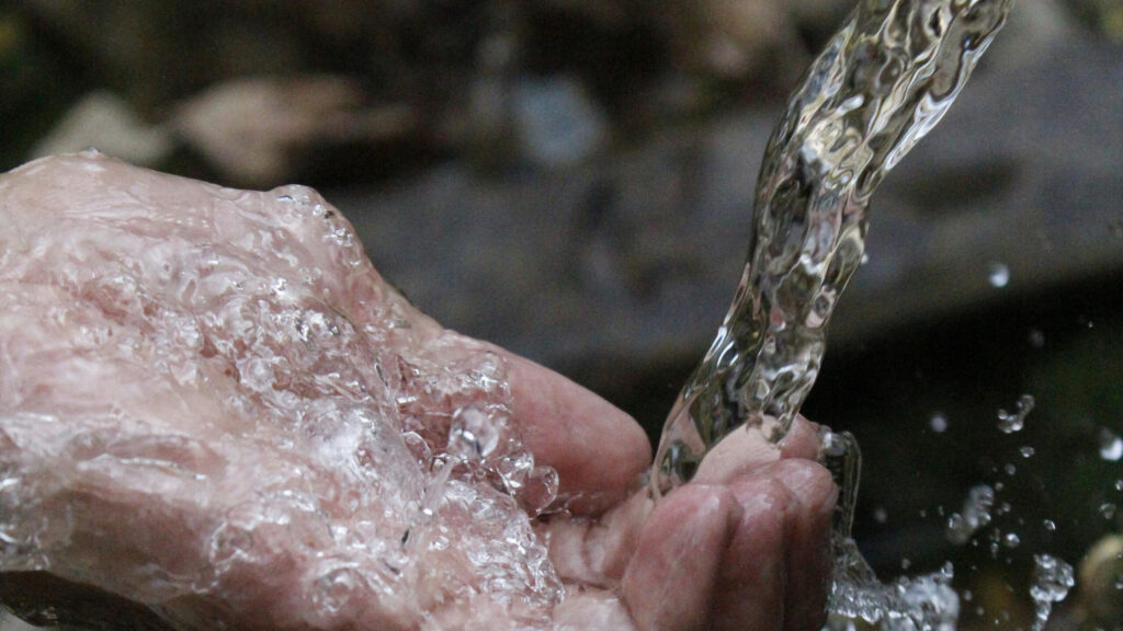 water for horse